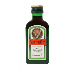 Mini Botella Jagermeister 10 cl