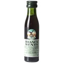 Mini botella  Licor Fernet Branca Menta