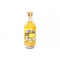 Mini botella Ginebra GIN NUT GREEN APPLE