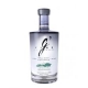 Ginebra Gvine Nouasion